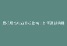 胆机反馈电容终极指南:如何通过关键元件提升音质表现-电子元器件网