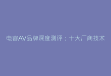 电容AV品牌深度测评:十大厂商技术指标横向对比-电子元器件网