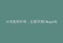 从性能到价格:全面评测Okaya电容的竞争优势-电子元器件网
